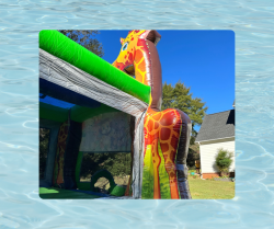 27 1719003466 Bounce House and Water Slide Rentals