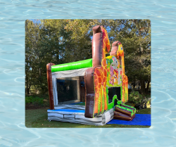 30 1719003466 Bounce House and Water Slide Rentals