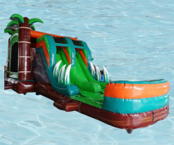 XL20Dino20Dive20Wet Dry20Combo20 COMING20SOON203 1741484 1 Bounce House and Water Slide Rentals