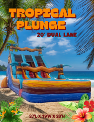 20' Tropical Plunge Dual Lane Water Slide ( XL Splash Pool