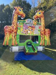 IMG 3193 1776629039 Bounce House and Water Slide Rentals