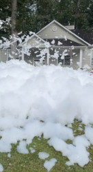 Foam Cannon (Self Serve)